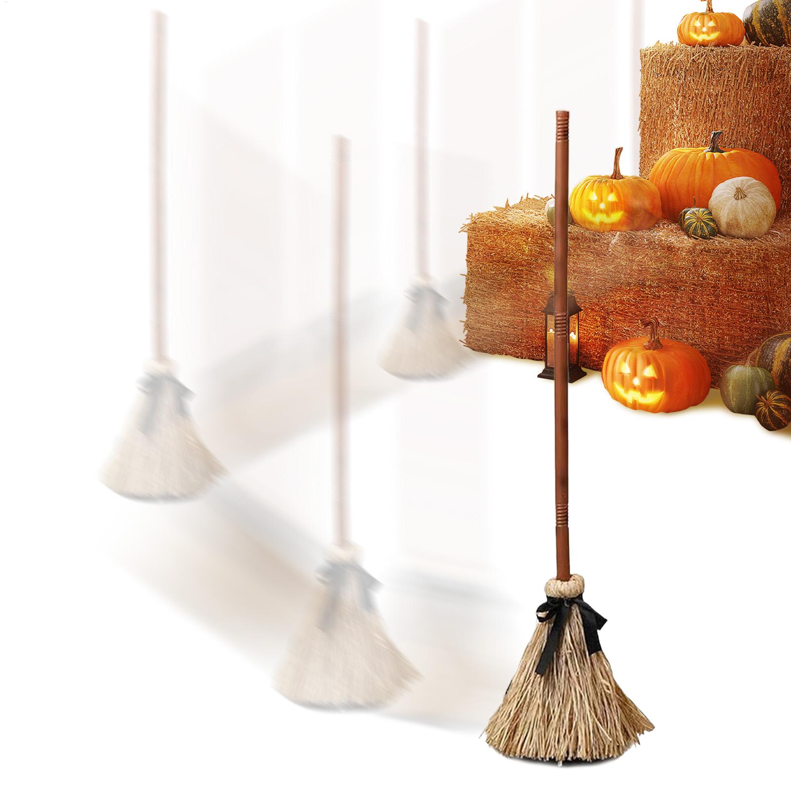 Balai de sorcière à piles, acc - Outdoor Power Broom avis et prix